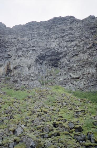 A view upward from the valley floor inside �sbyrgi to the top of the valley walls